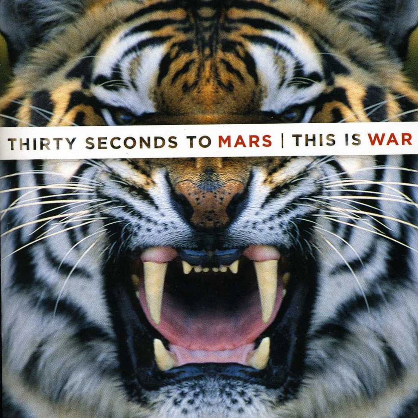 Thirty Seconds To Mars THIS IS WAR CD