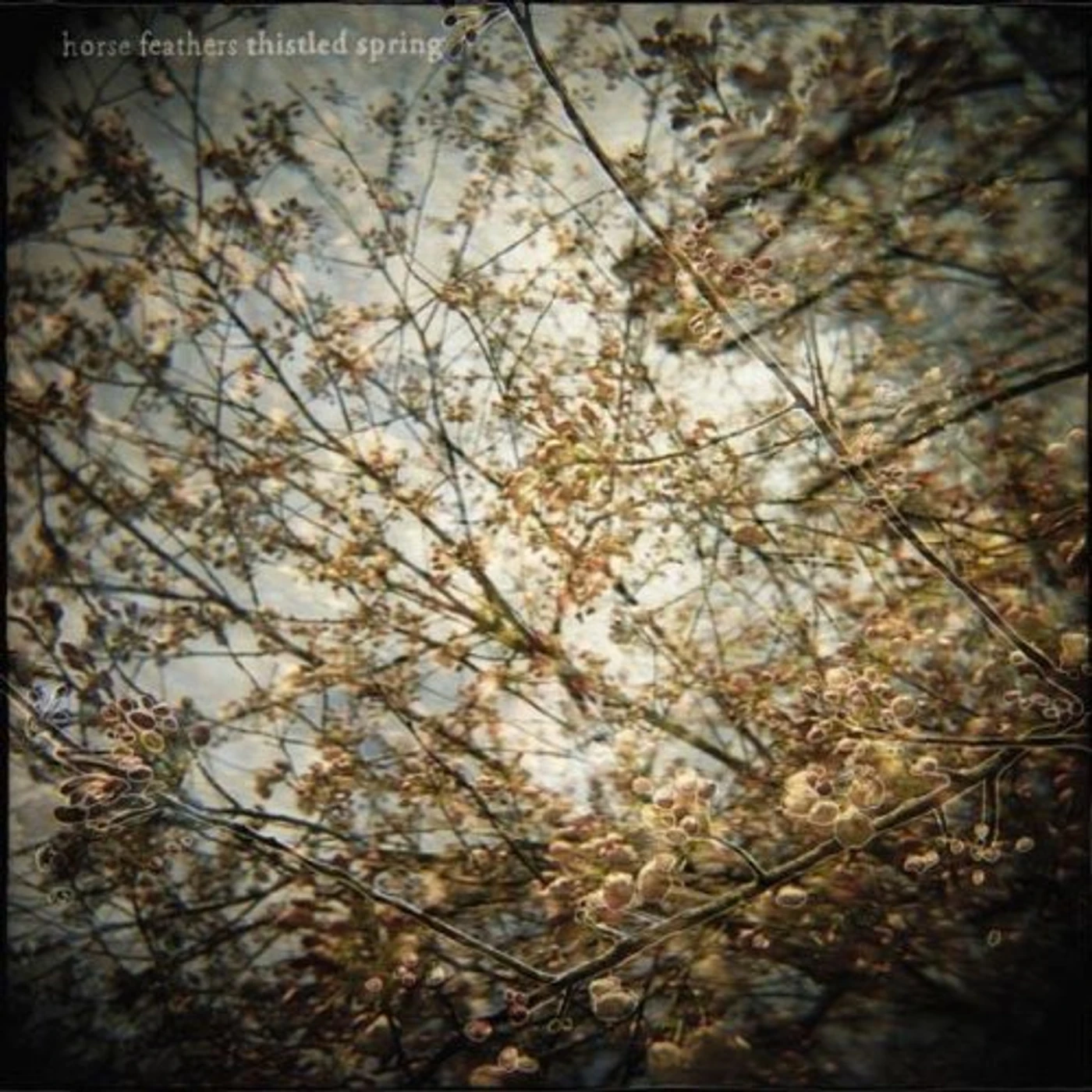 Horse Feathers Thistled Spring Vinyl Record