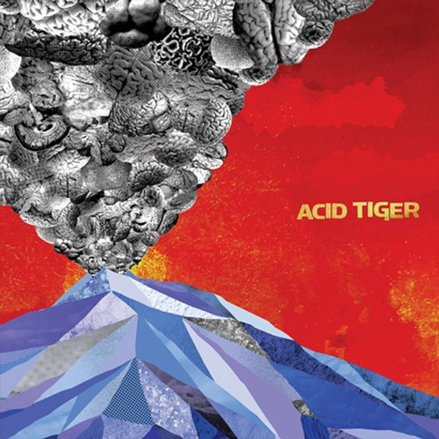 ACID TIGER CD