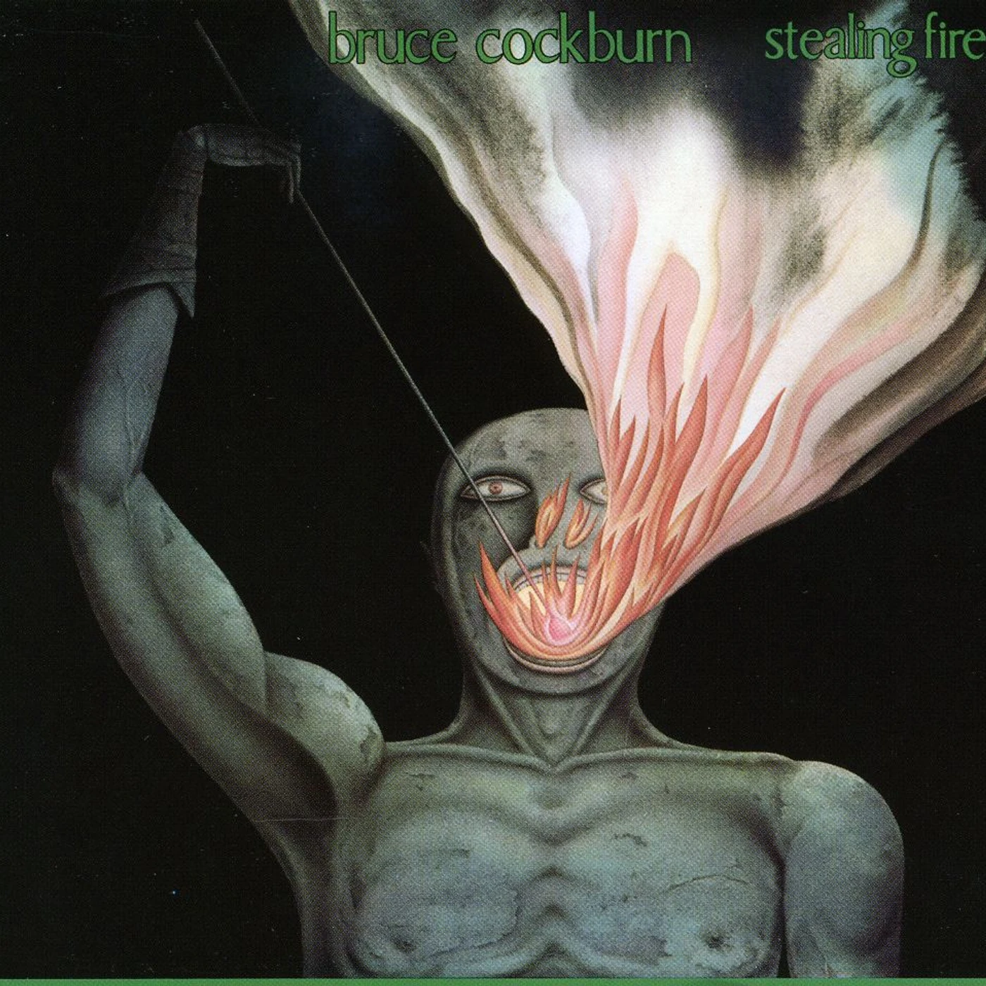 Bruce Cockburn STEALING FIRE CD