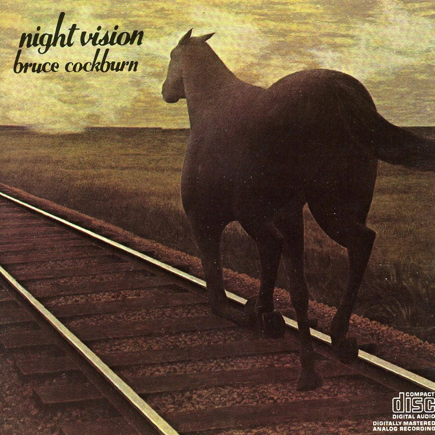 Bruce Cockburn NIGHT VISION CD