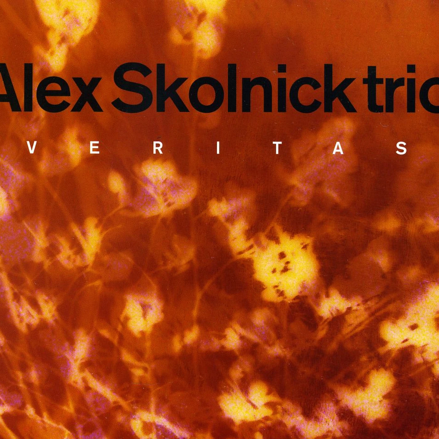 Alex Skolnick VERITAS CD