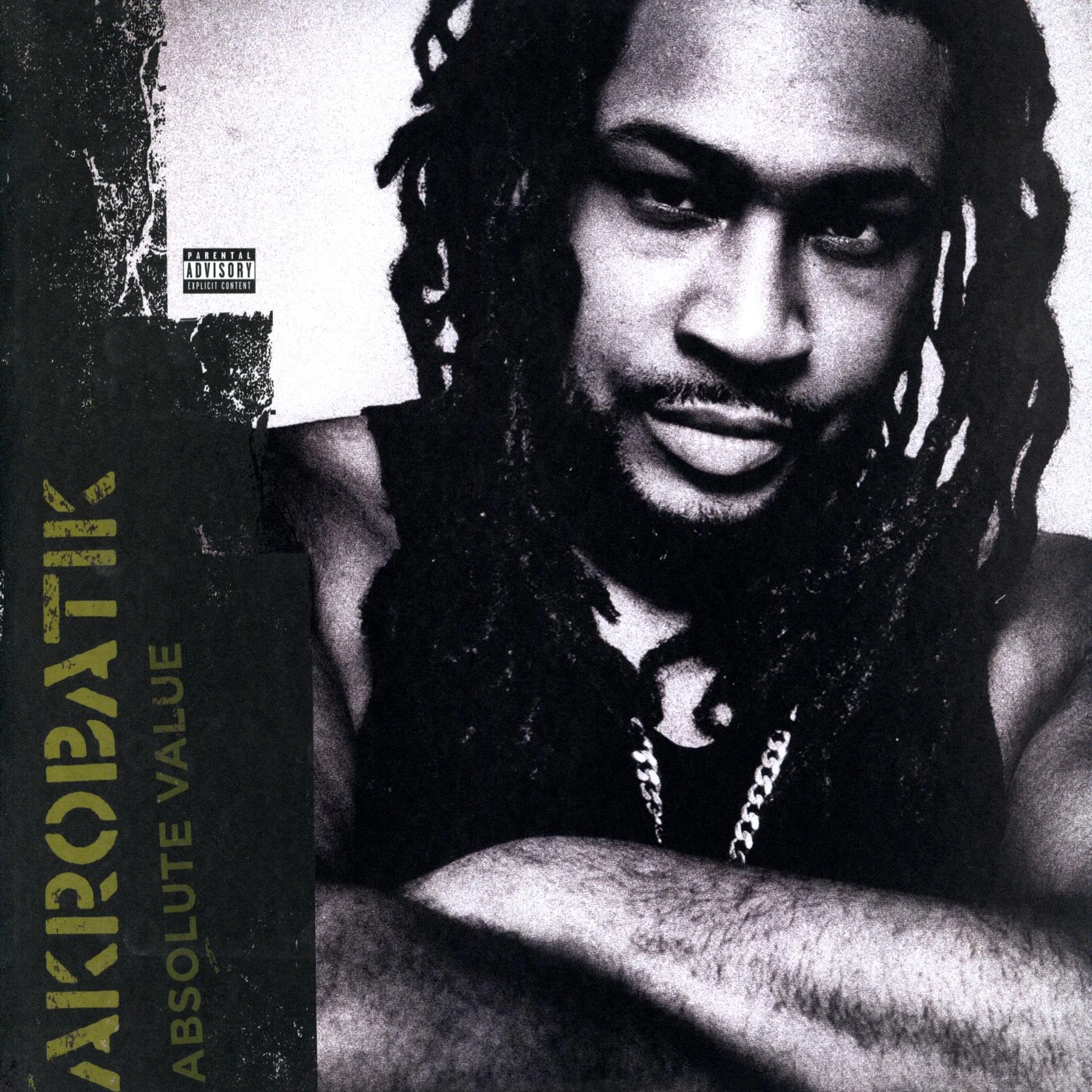 Akrobatik Absolute Value Vinyl Record