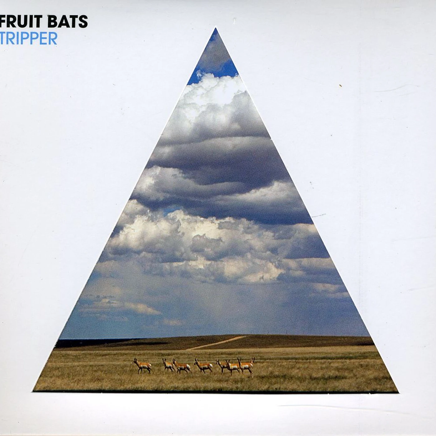 Fruit Bats TRIPPER CD