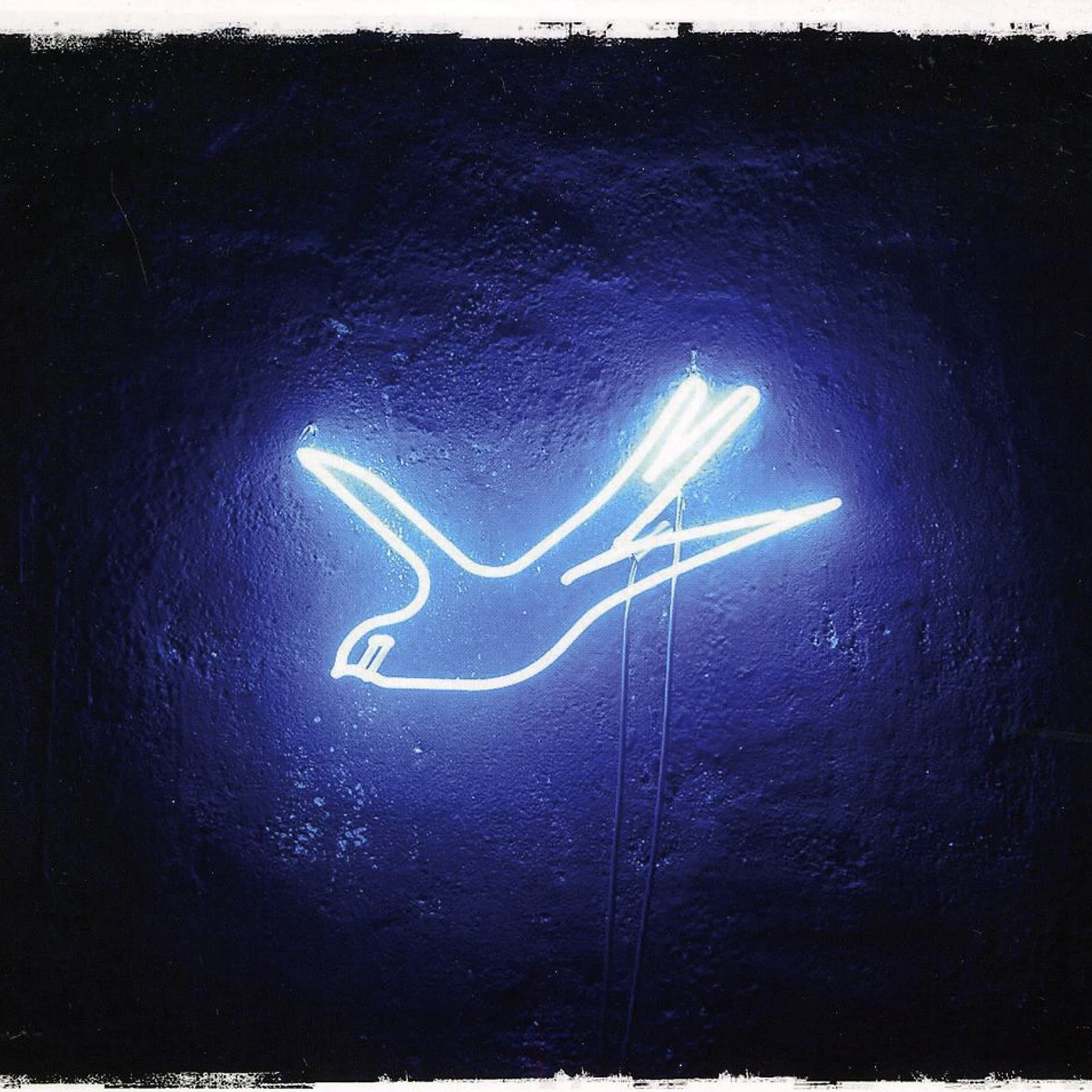 Ollabelle NEON BLUE BIRD CD