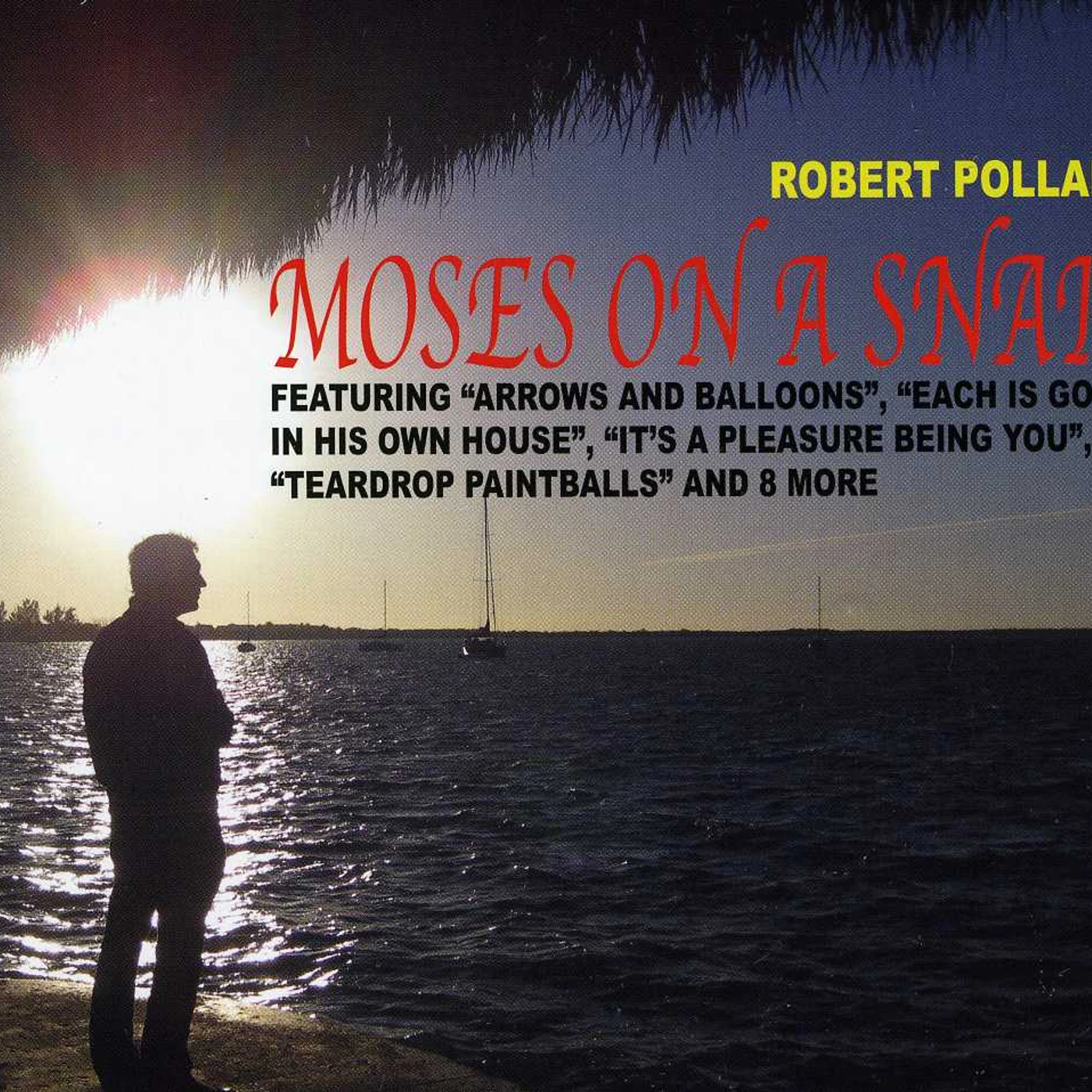 Robert Pollard MOSES ON A SNAIL CD
