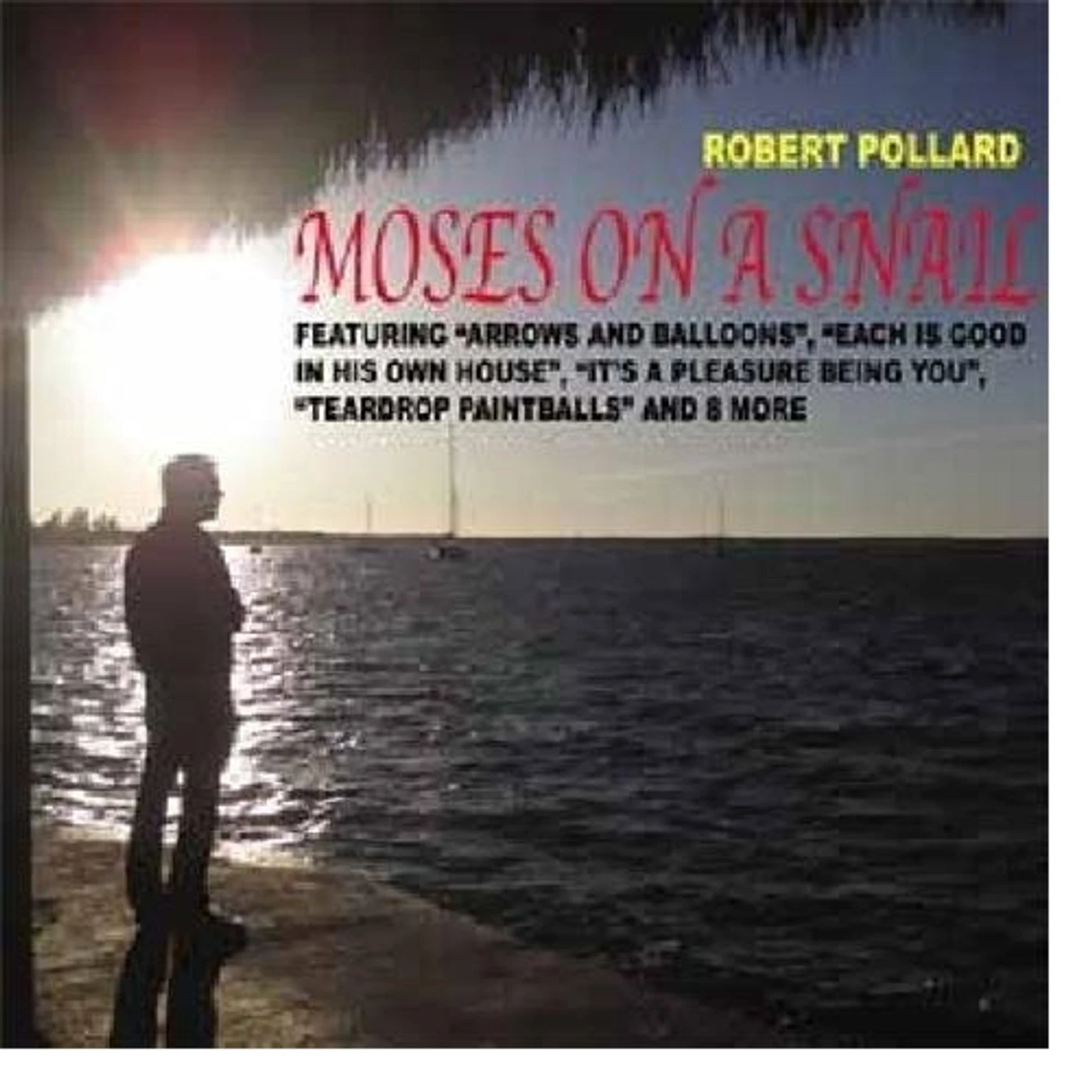Robert Pollard Moses On A Snail Vinyl Record