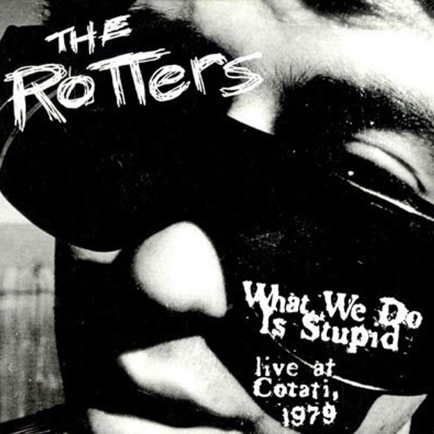 The Rotters WHAT WE DO IS STUPID Vinyl Record