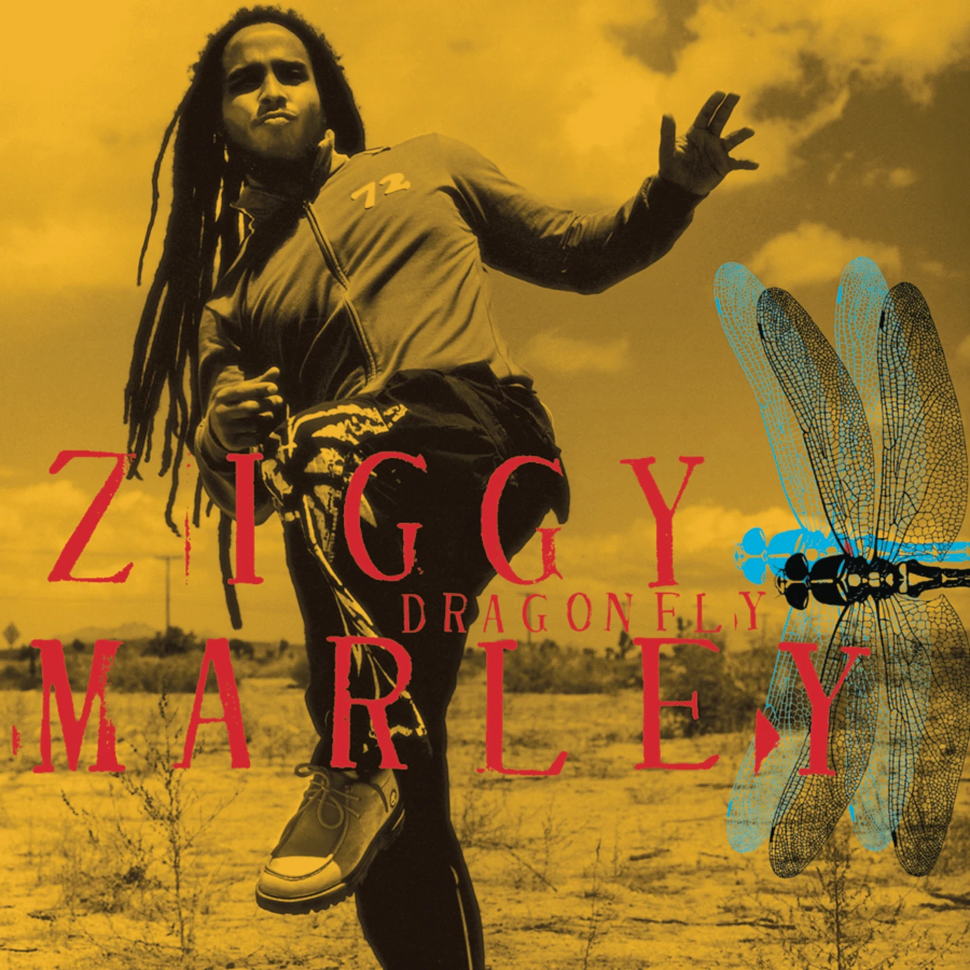 Ziggy Marley DRAGONFLY CD