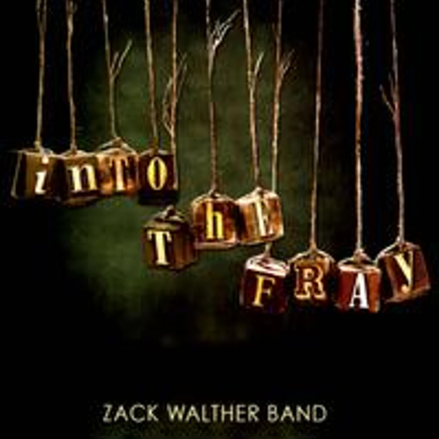 Zack Walther INTO THE FRAY CD