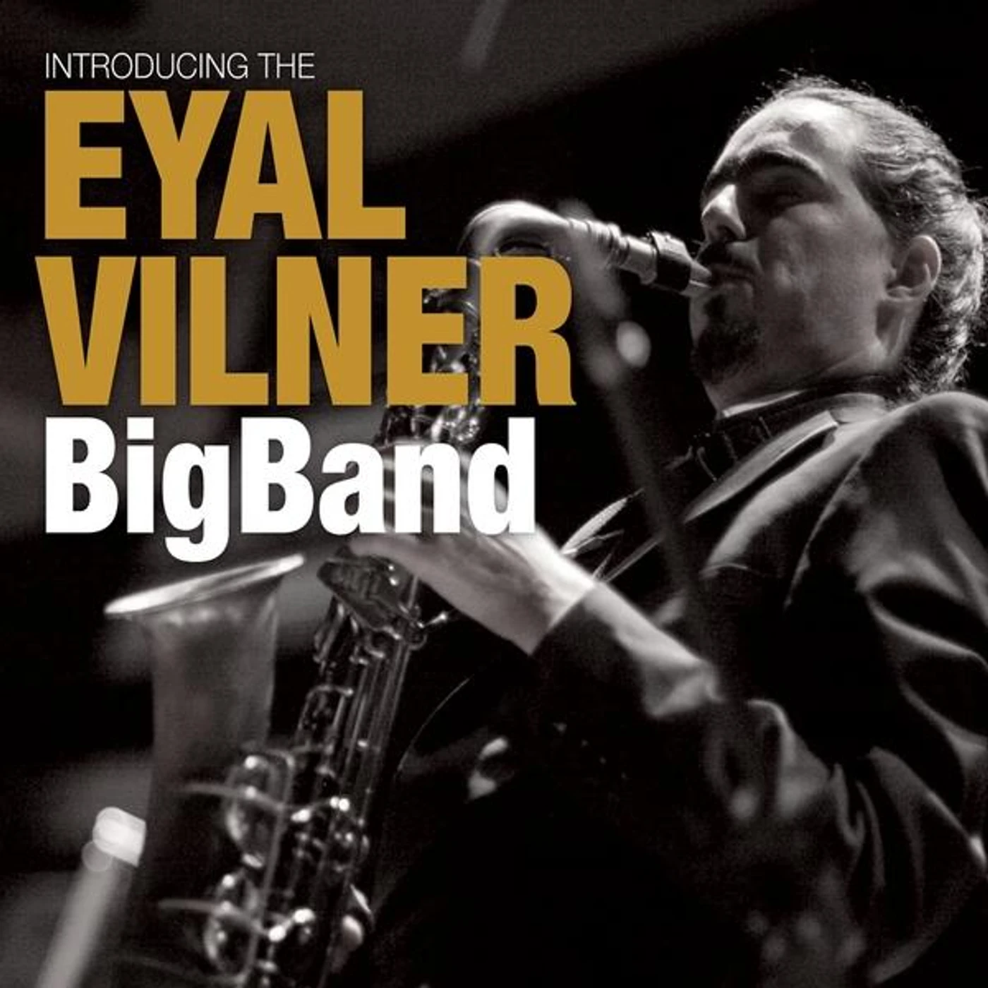 INTRODUCING THE EYAL VILNER BIG BAND CD