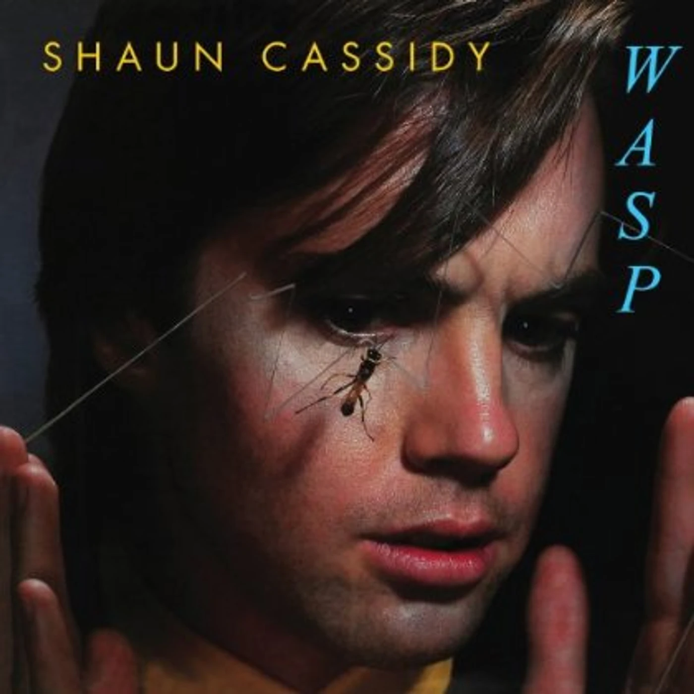 Shaun Cassidy WASP CD