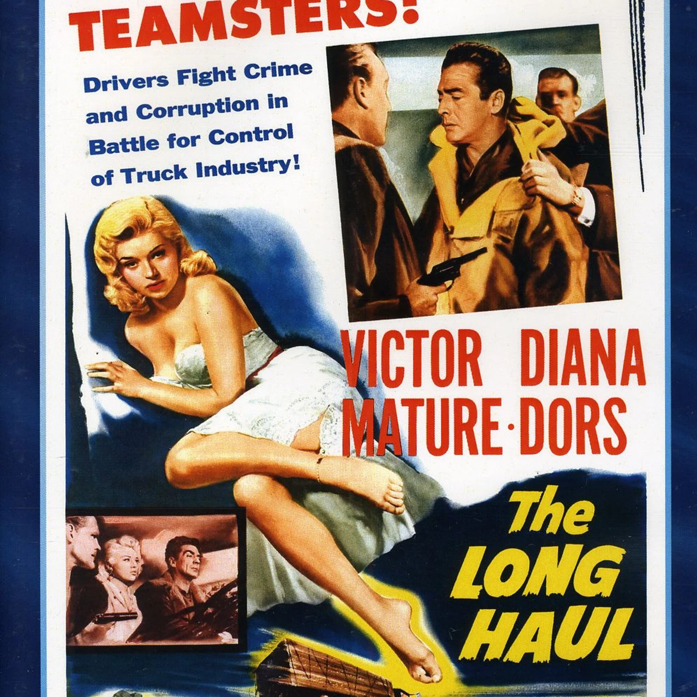 The Long Haul DVD