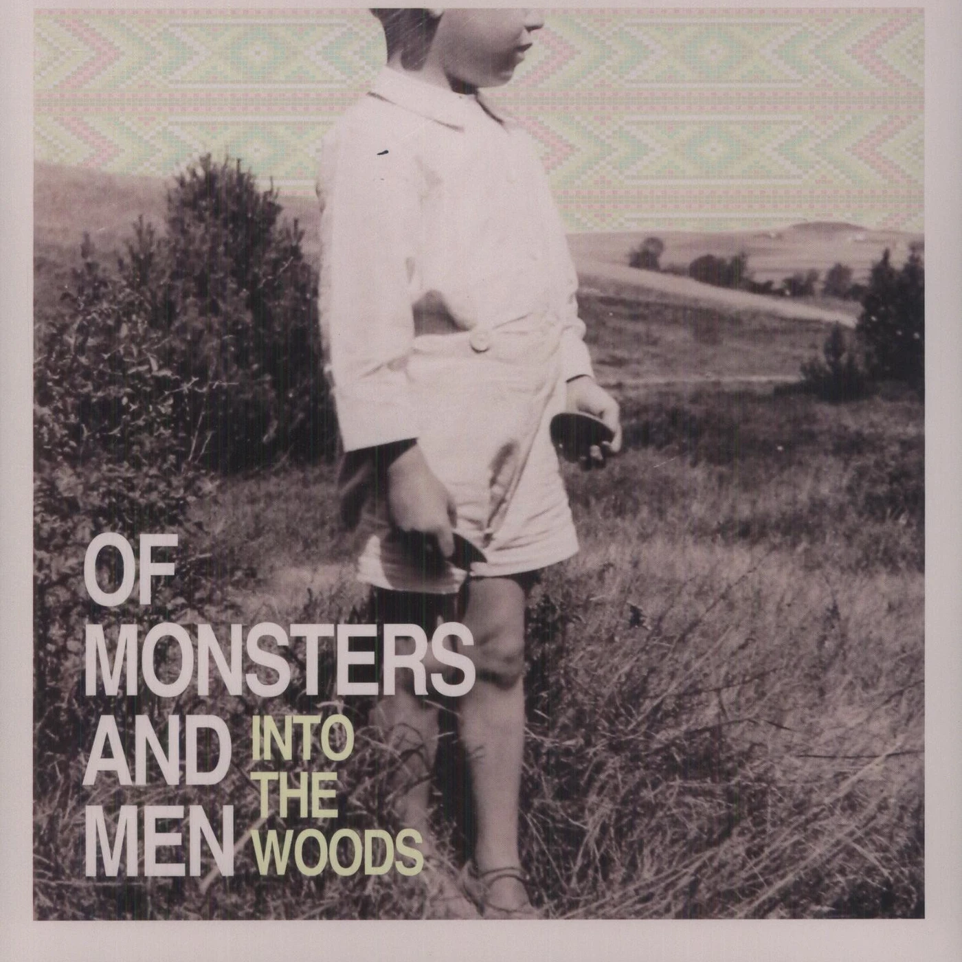 Of Monsters and Men Into The Woods Vinyl Record