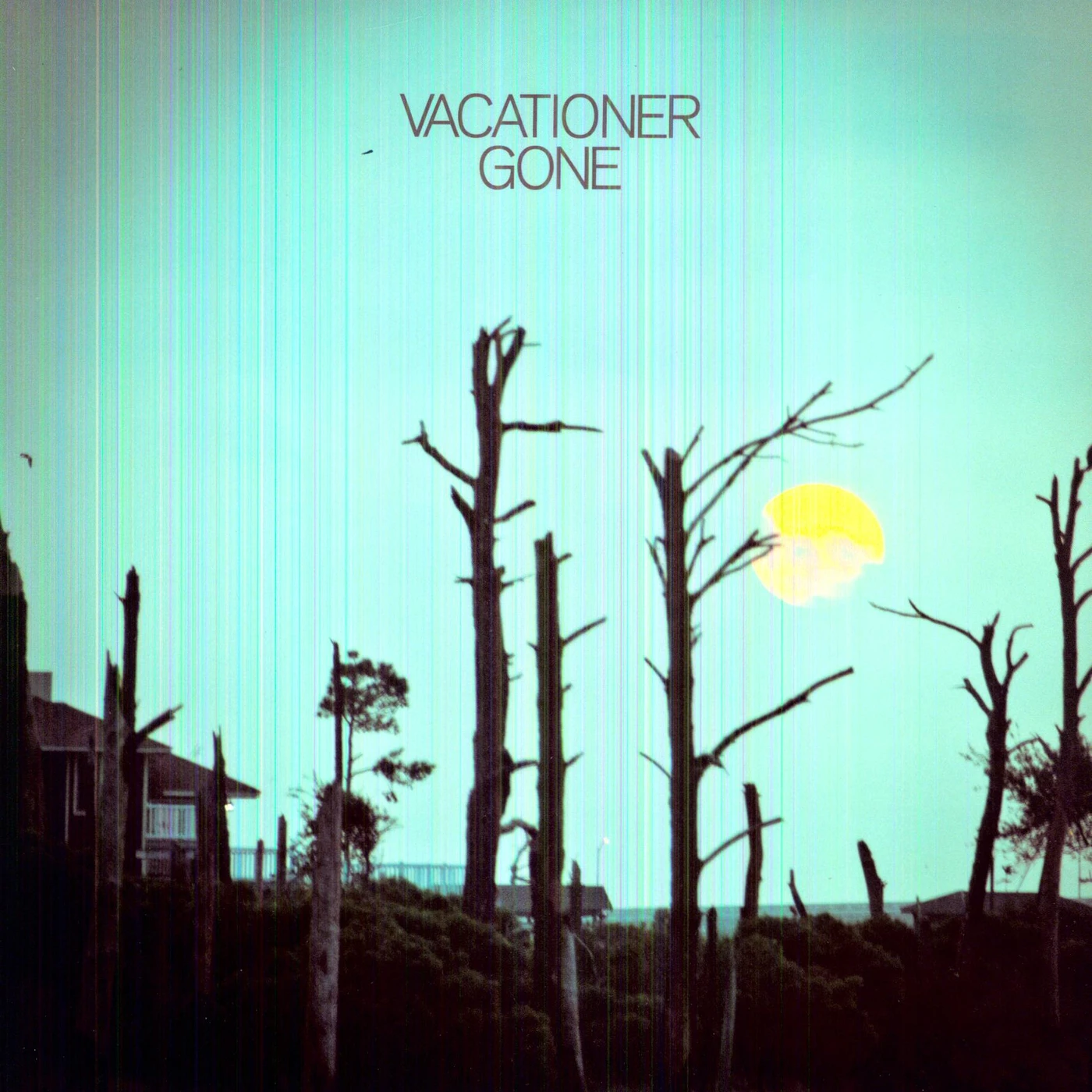 Vacationer Gone Vinyl Record