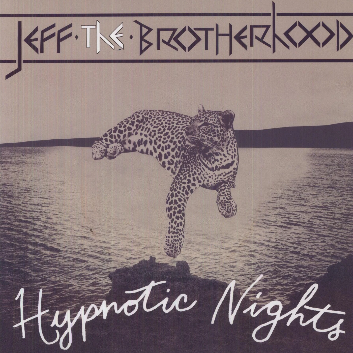 JEFF The Brotherhood Hypnotic Nights Vinyl Record