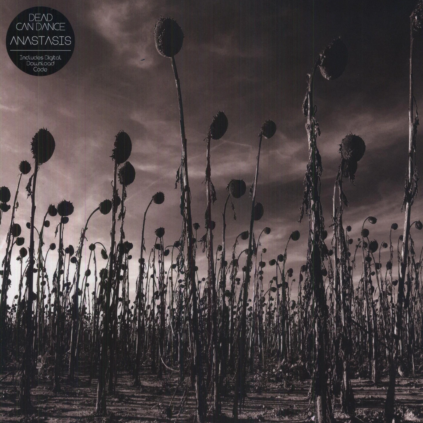 Dead Can Dance Anastasis Vinyl Record