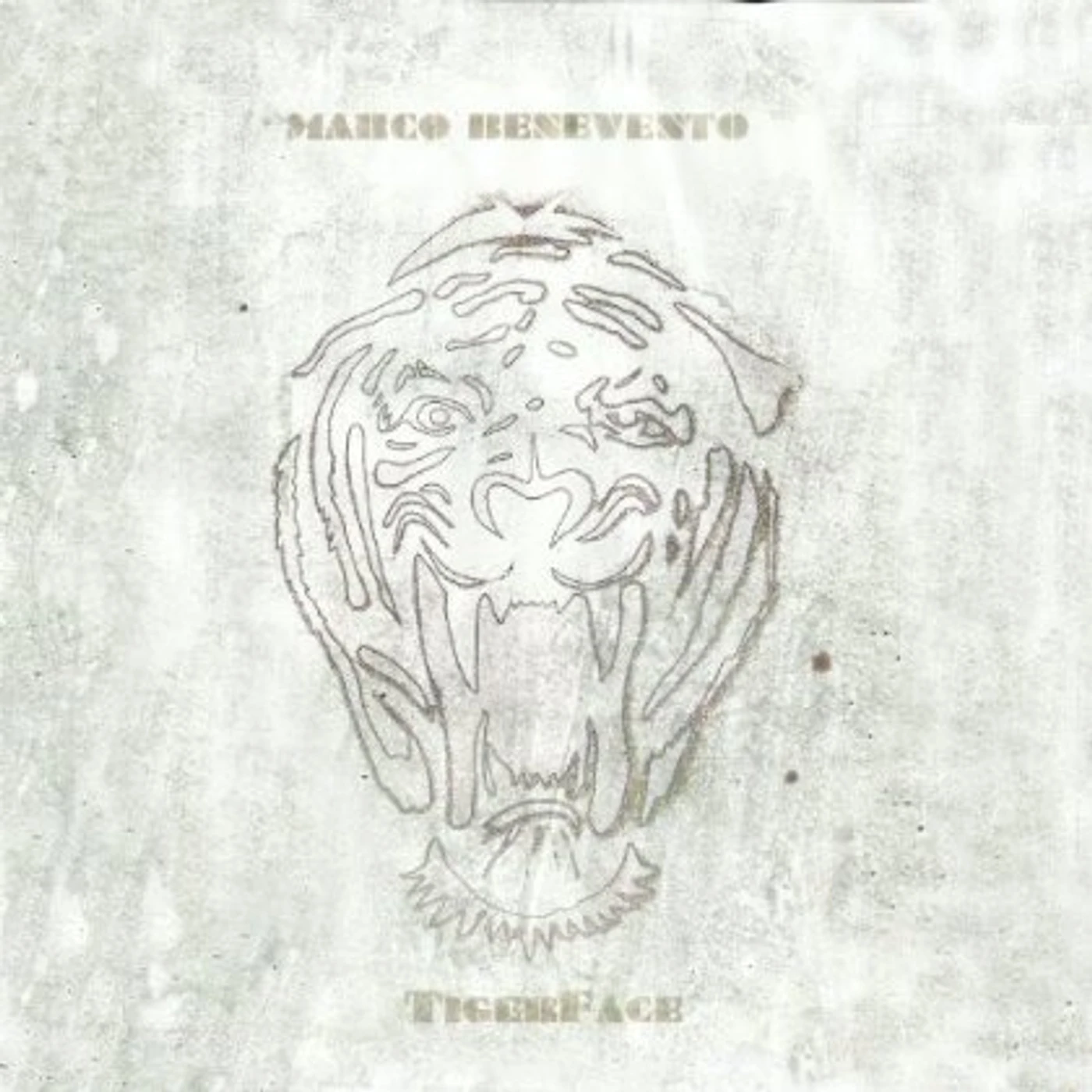 Marco Benevento TigerFace Vinyl Record
