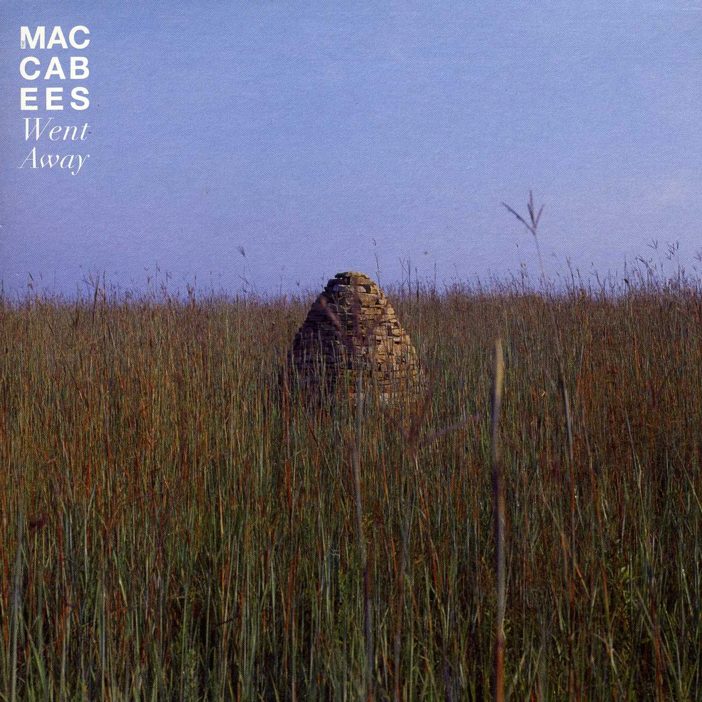 Maccabees Went Away Vinyl Record