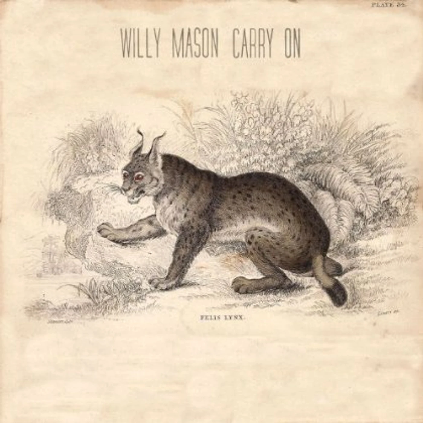 Willy Mason CARRY ON CD