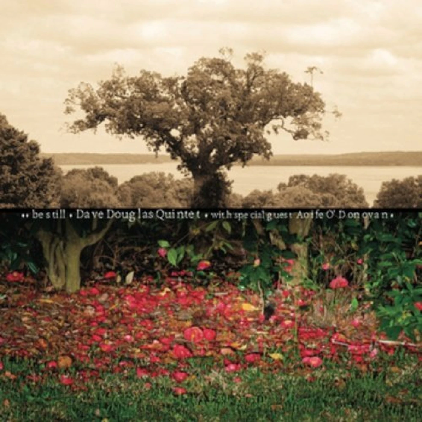 Dave Douglas BE STILL CD