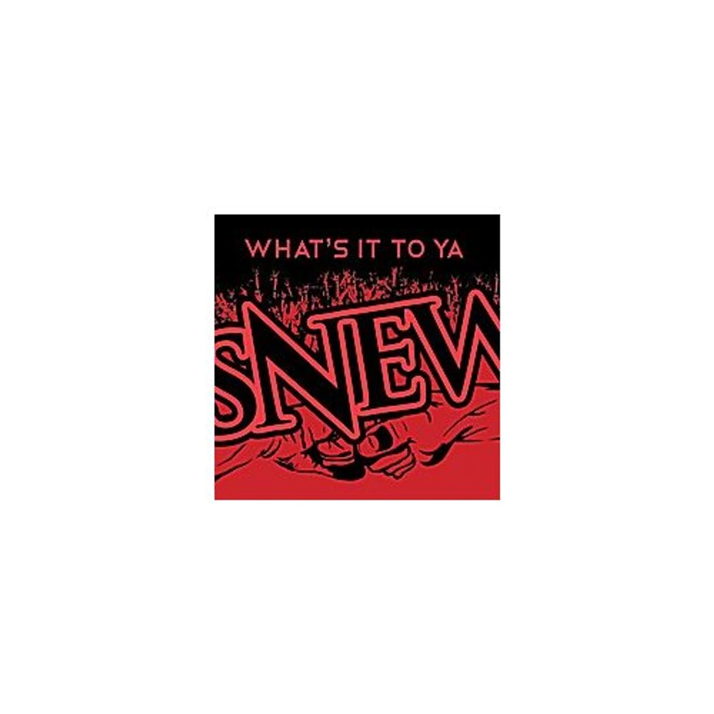 Snew WHAT'S IT TO YA CD
