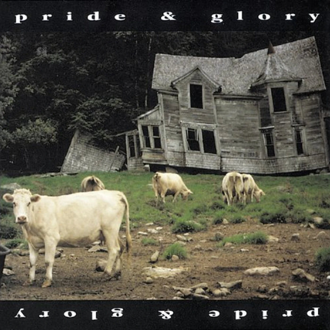 Pride & Glory Vinyl Record