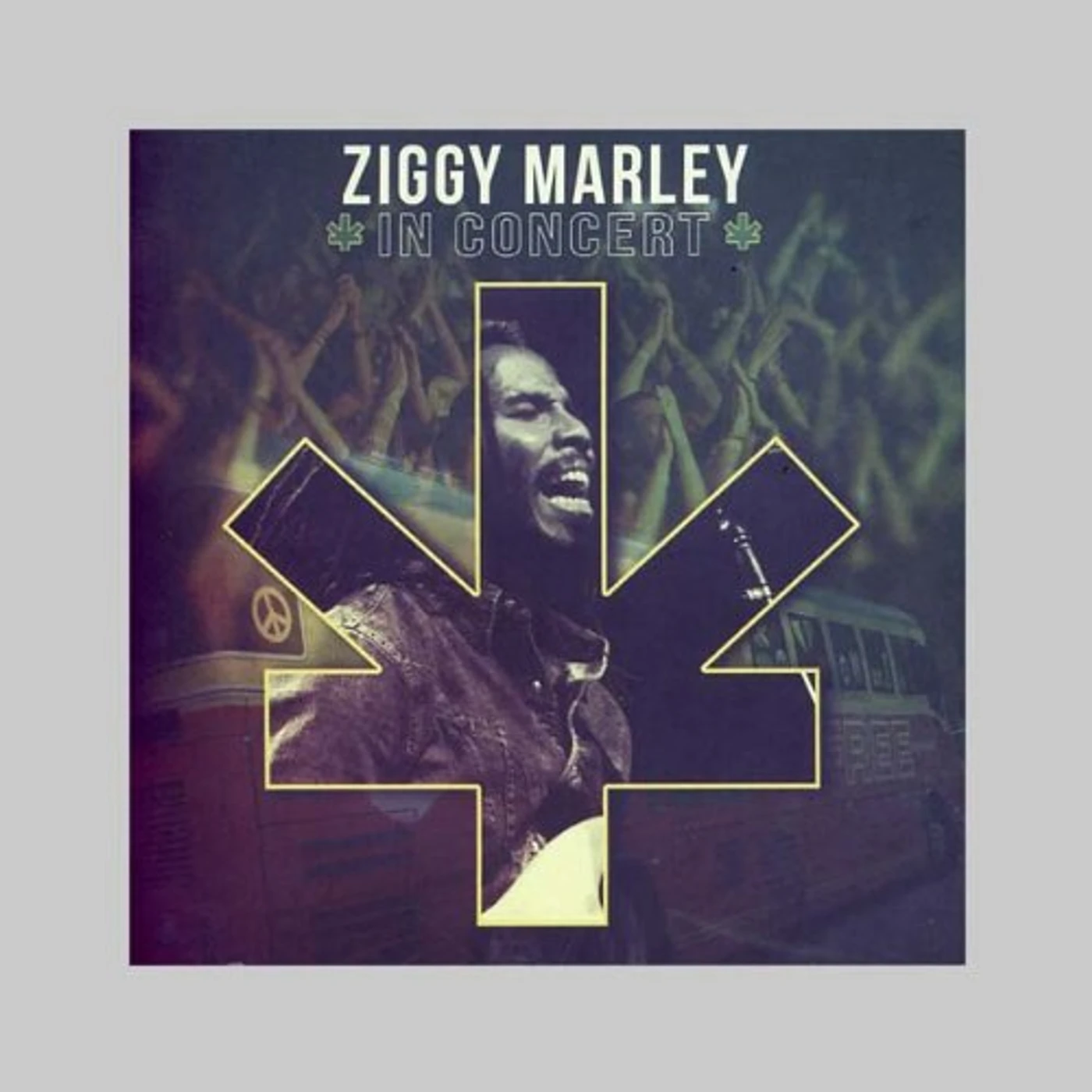Ziggy Marley IN CONCERT CD