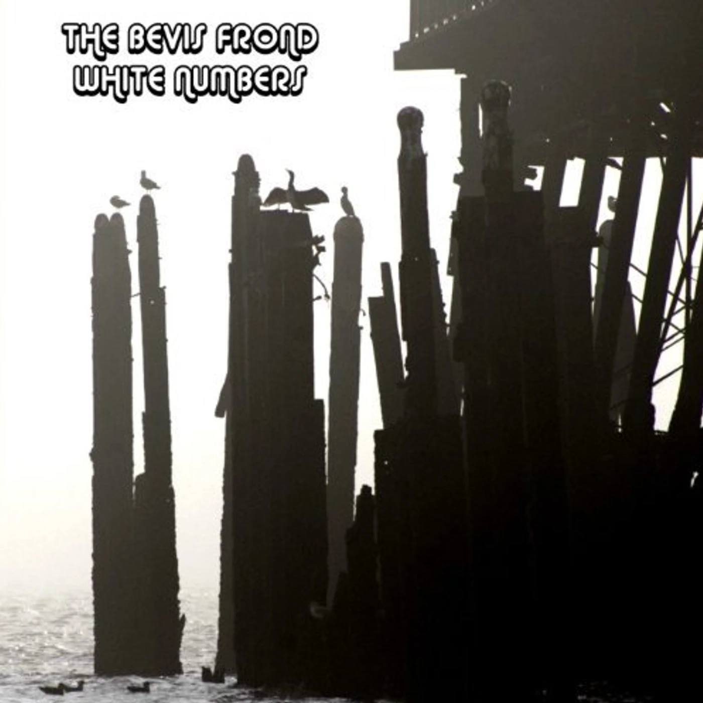 The Bevis Frond White Numbers Vinyl Record