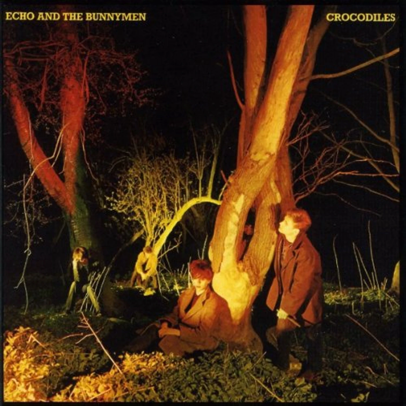 Echo & the Bunnymen CROCODILES (Vinyl)