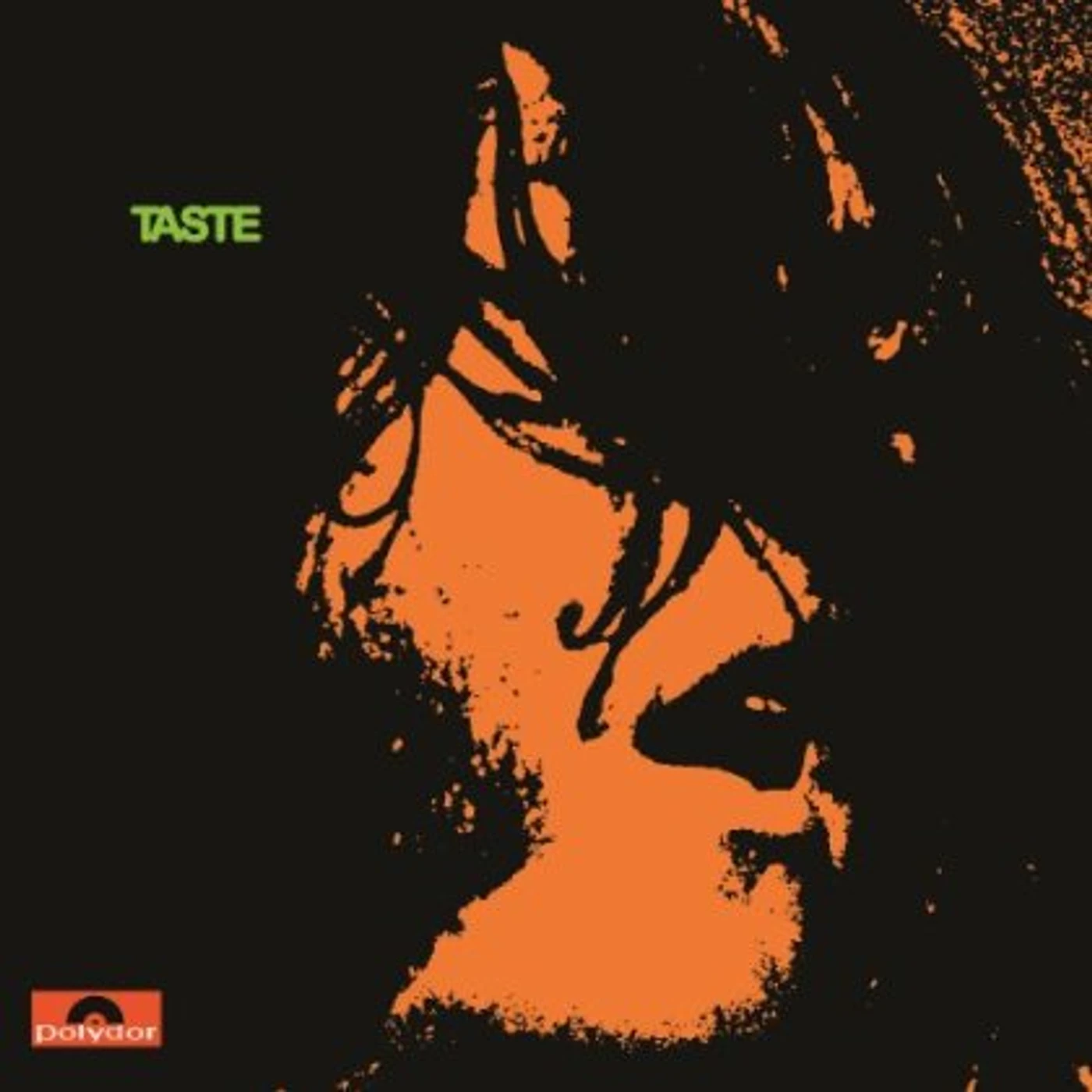 Taste Vinyl Record