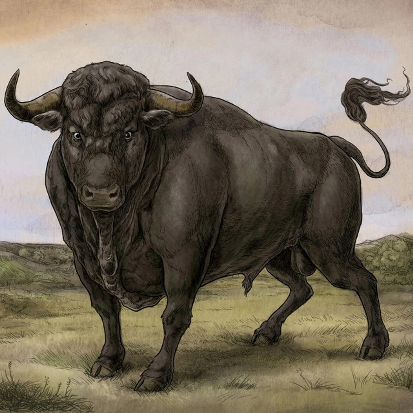 San Fermin Vinyl Record