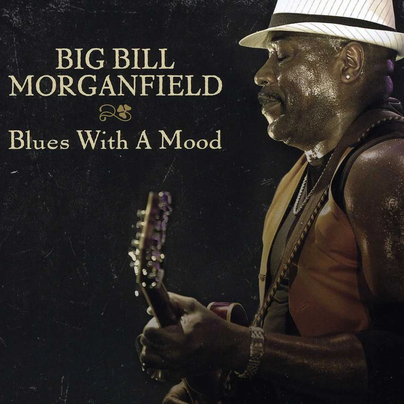 Big Bill Morganfield BLUES WITH A MOOD CD