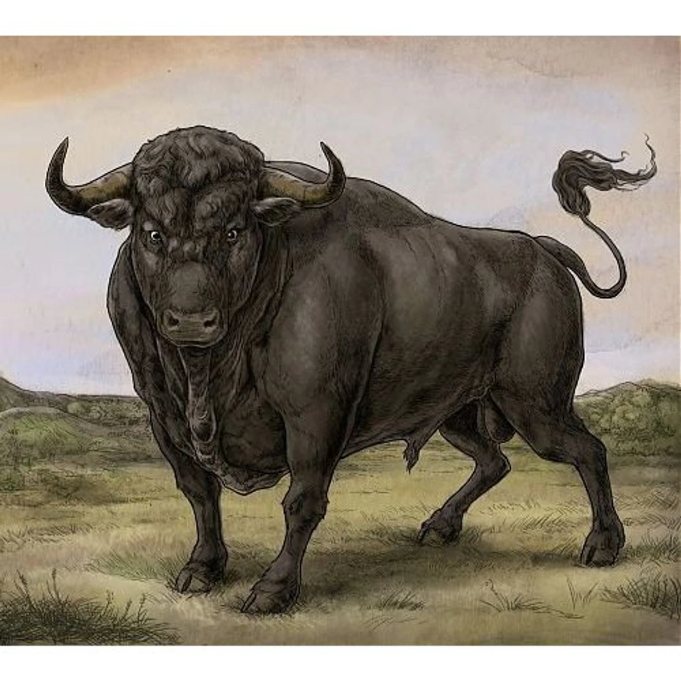 SAN FERMIN CD
