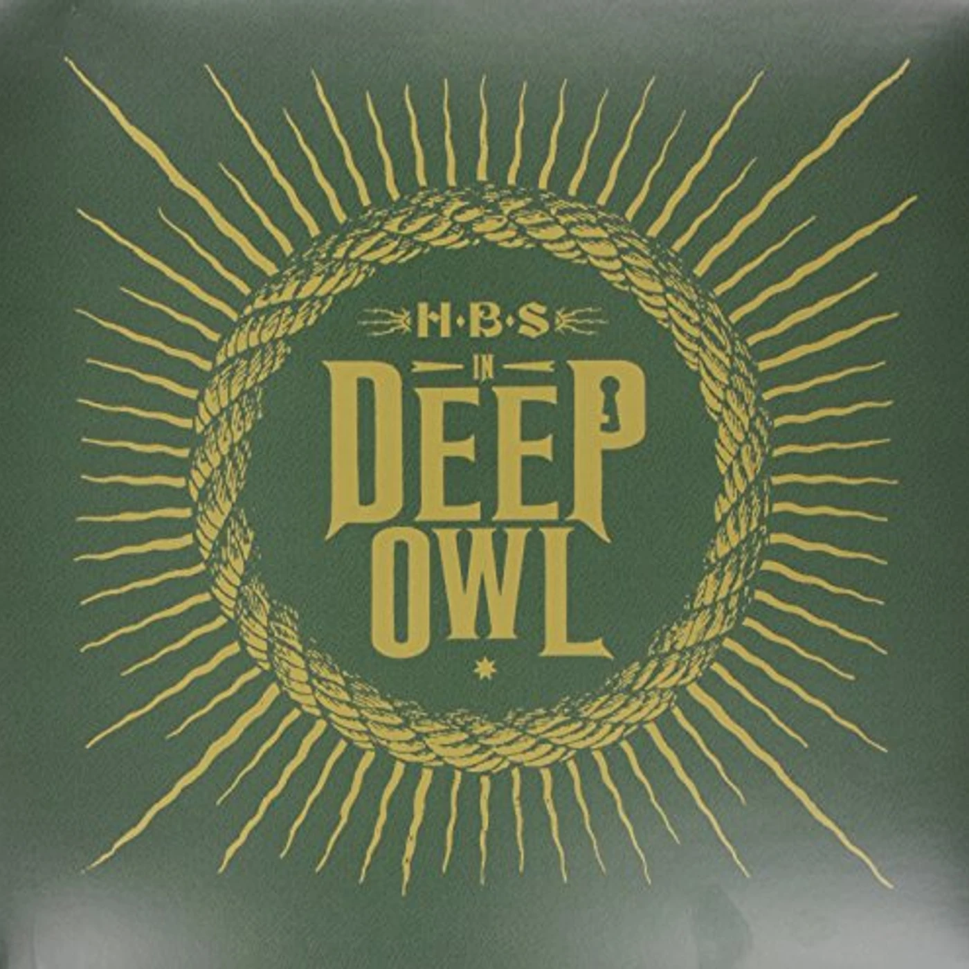 HBS In Deep Owl Vinyl Record