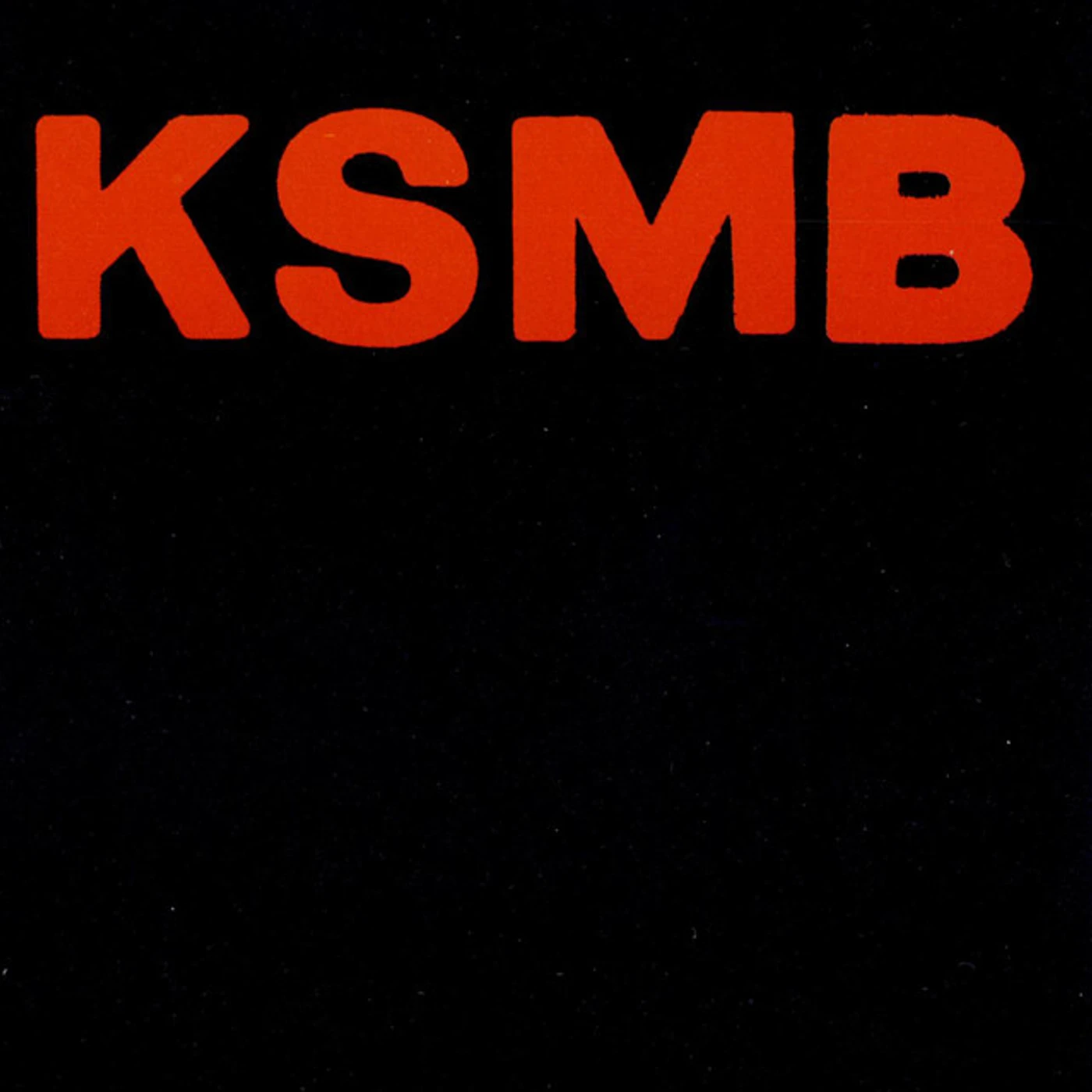 KSMB RIKA BARN LEKA BAST Vinyl Record