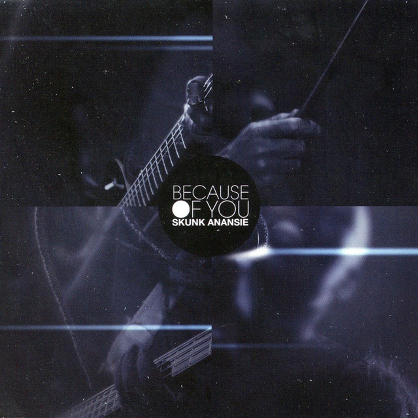 Skunk Anansie Because of You Vinyl Record