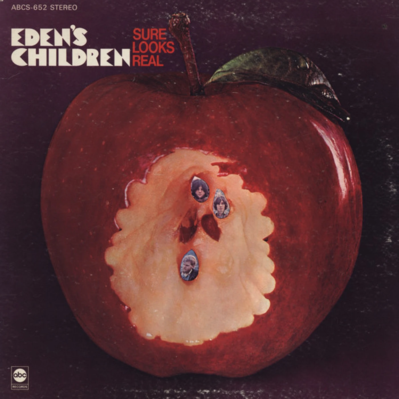 Eden's Children Sure Looks Real Vinyl Record