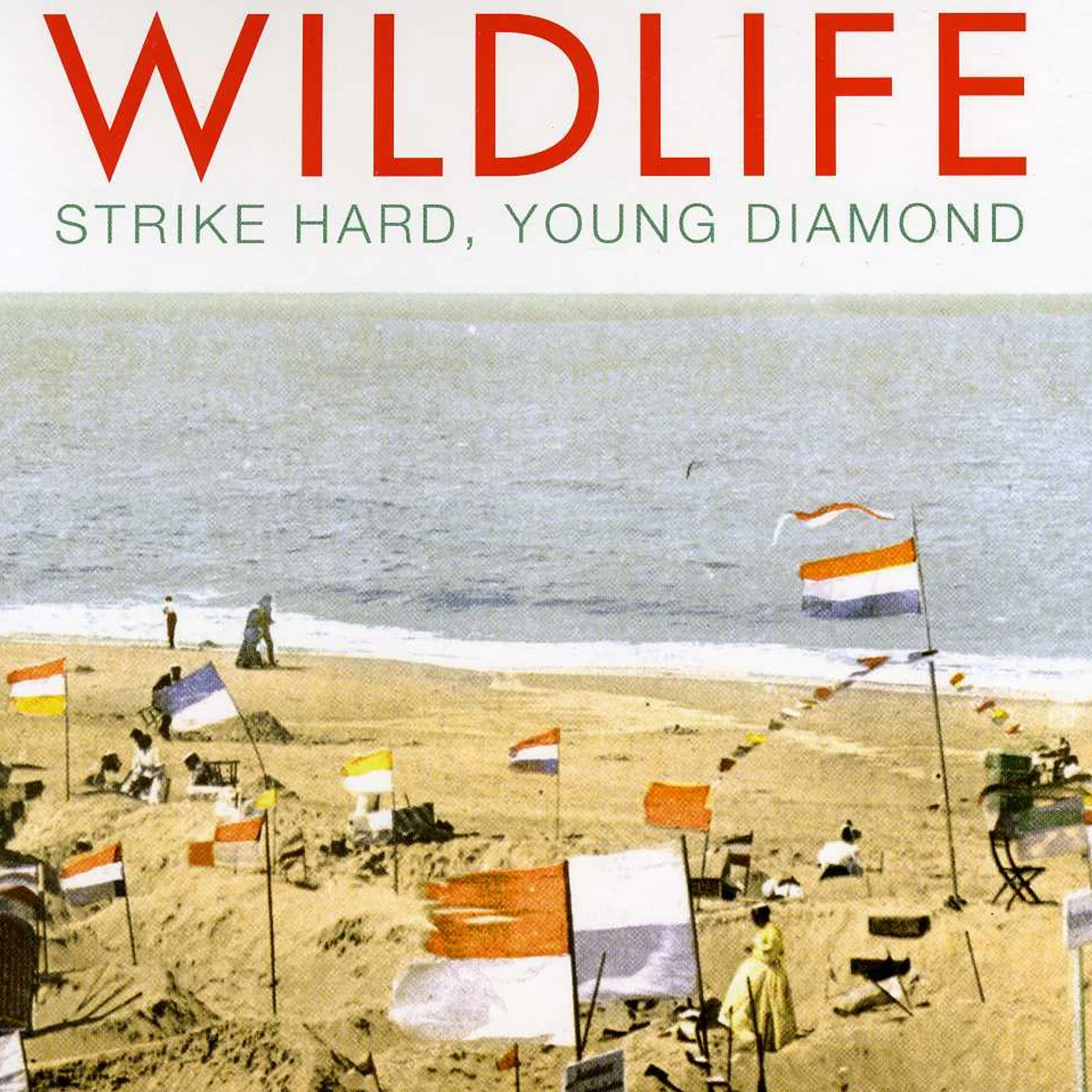 Wildlife STRIKE HARD YOUNG DIAMOND CD