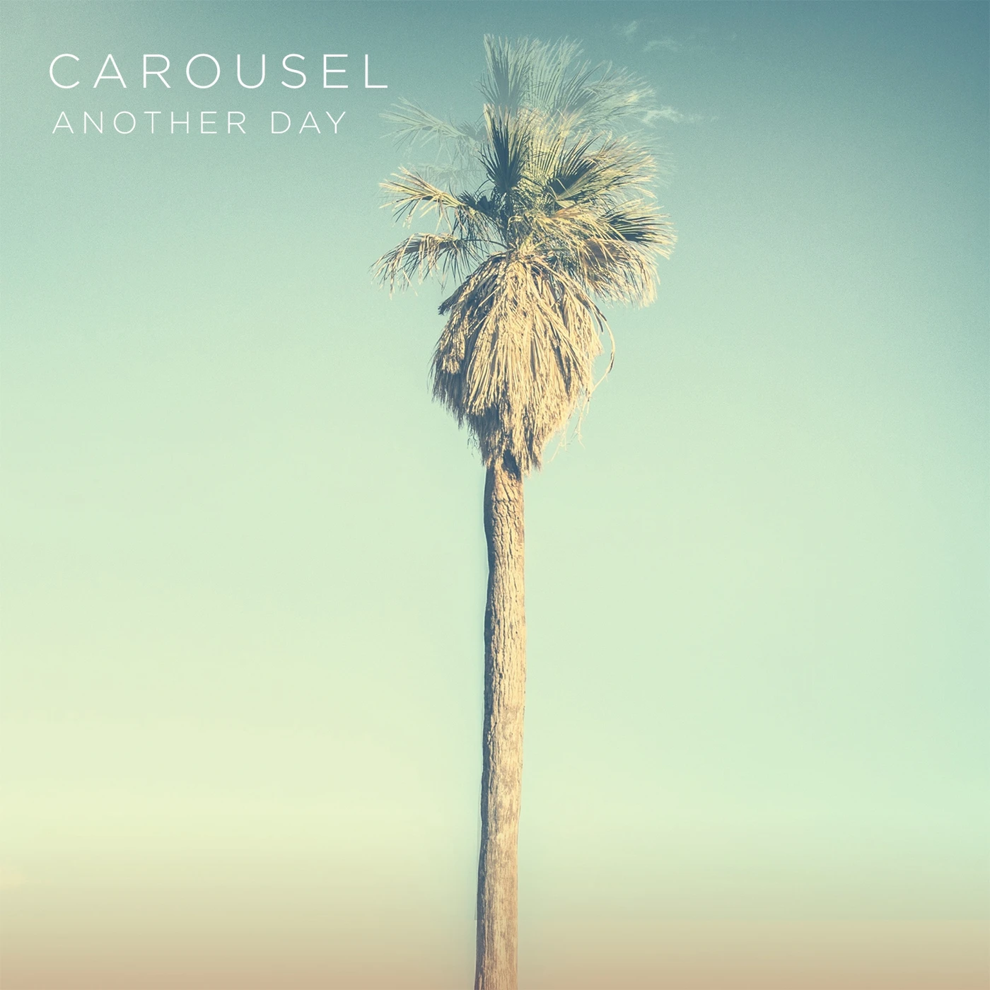 Carousel Another Day Vinyl Record