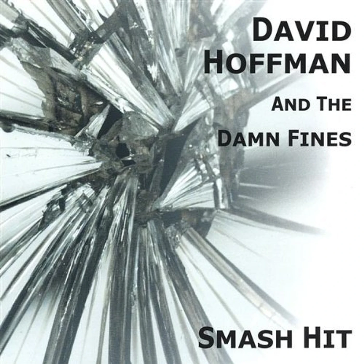 David Hoffman RISE & FALL CD