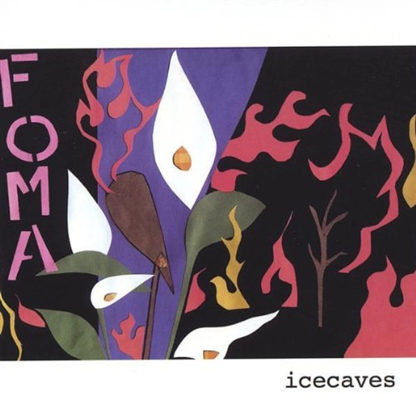 Foma ICECAVES CD