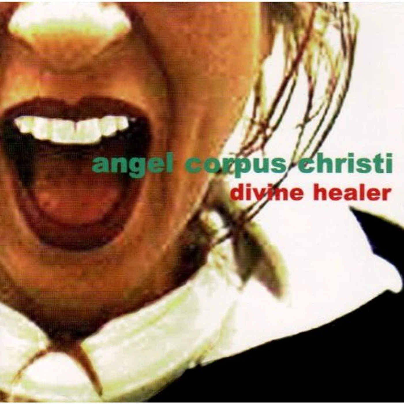 Angel Corpus Christi DIVINE HEALER CD
