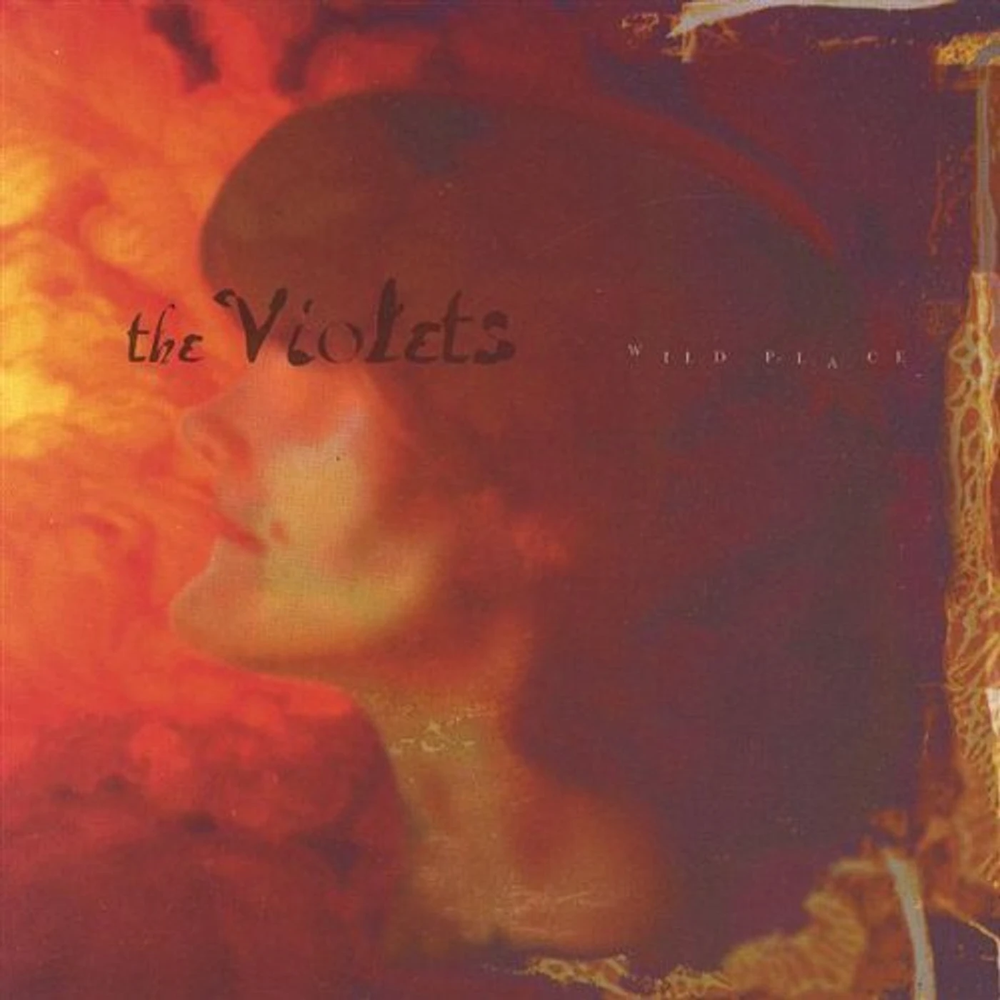 Violets WILD PLACE CD