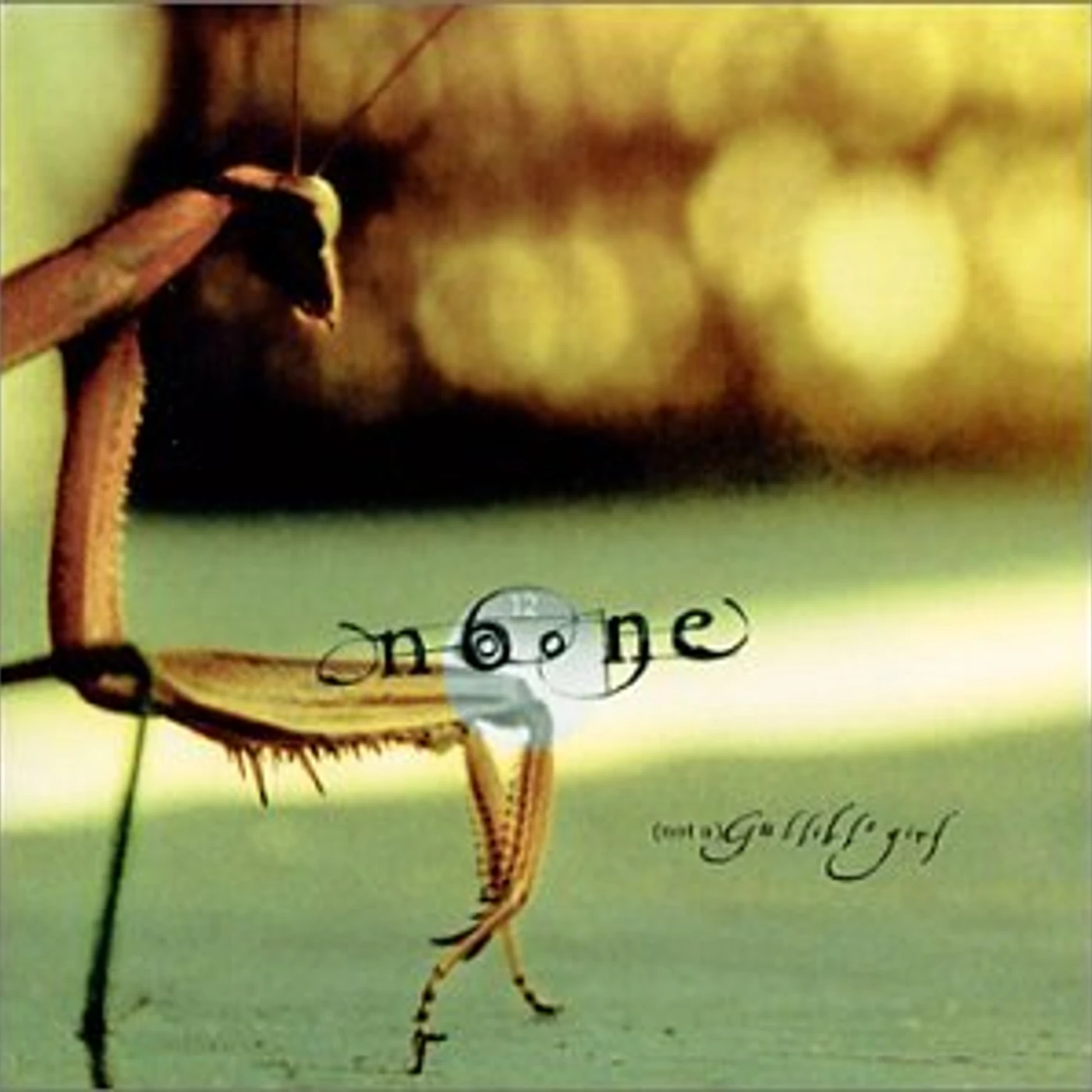 NoOne NOT A GULLIBLE GIRL CD