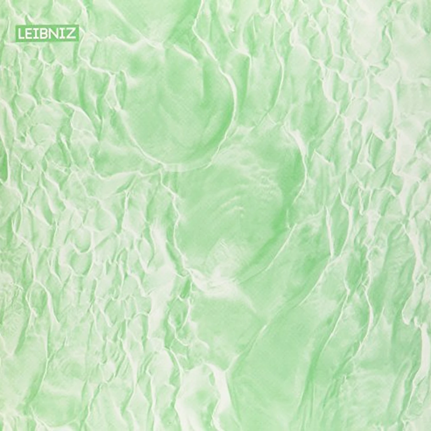 Leibniz What Matters Vinyl Record