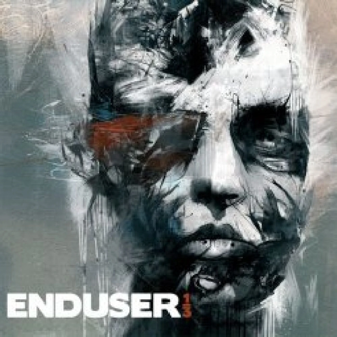 Enduser 1/3 Vinyl Record