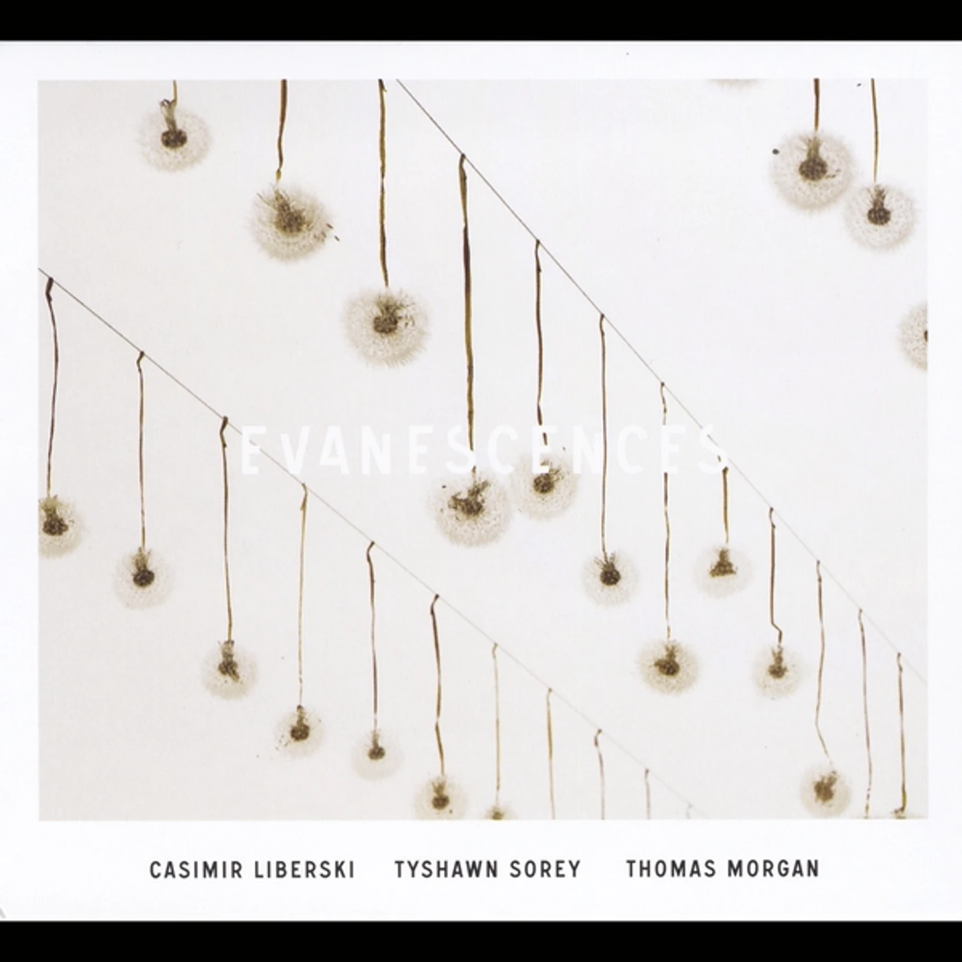 Casimir Liberski EVANESCENCES CD