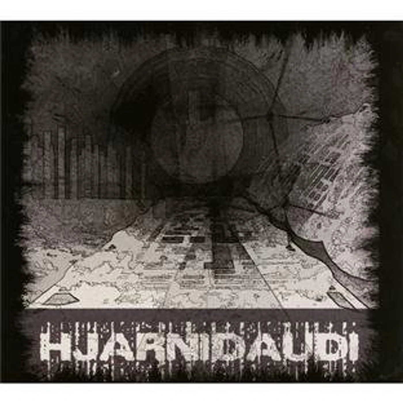 HJARNIDAUDI PSYKOSTAREVOID CD