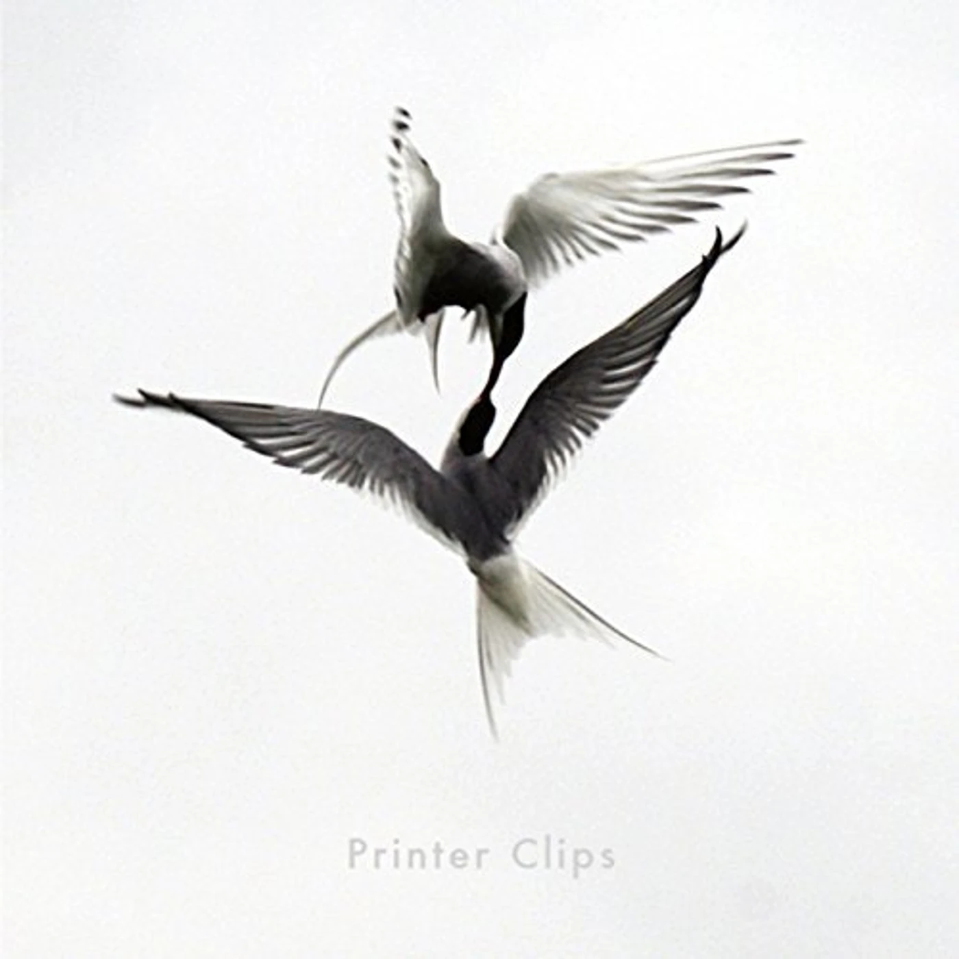 PRINTER CLIPS CD